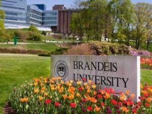 U.S.A: Jornada sobre el islam en la universidad de Brandeis